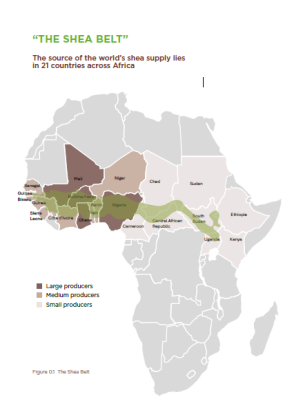 The High Stakes of West Africa's Shea Policy Revolution